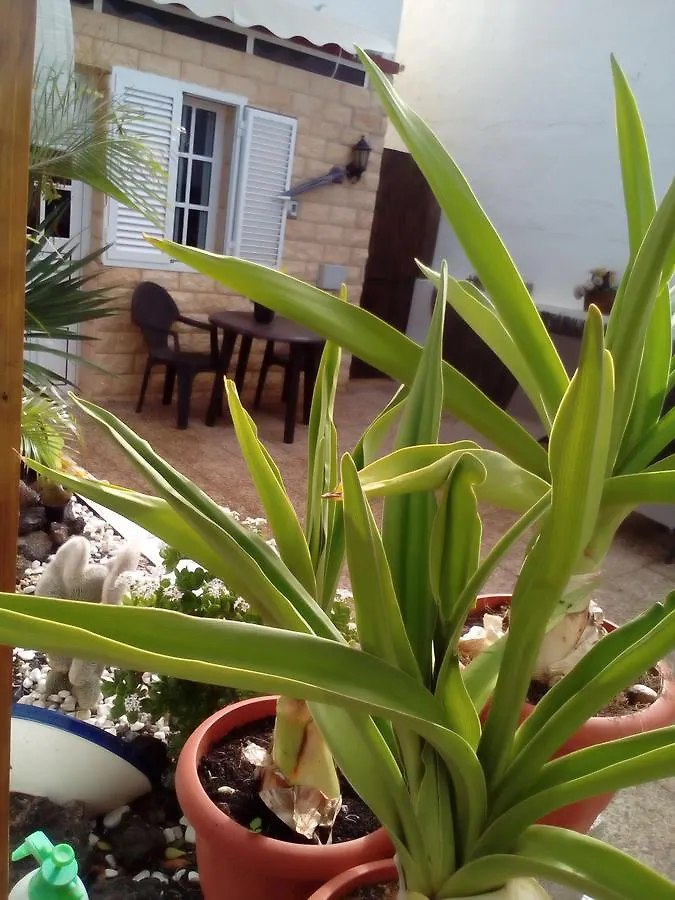 Country house Solo Adultos, Las Tuneras Rooms La Oliva Spain